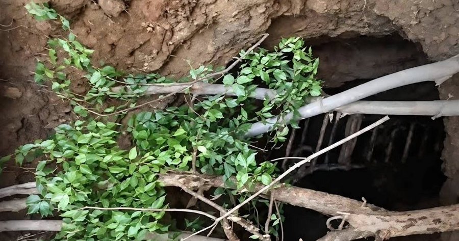بلدية الفنار تحسم جدل الحفرة: “إنه الذهب”